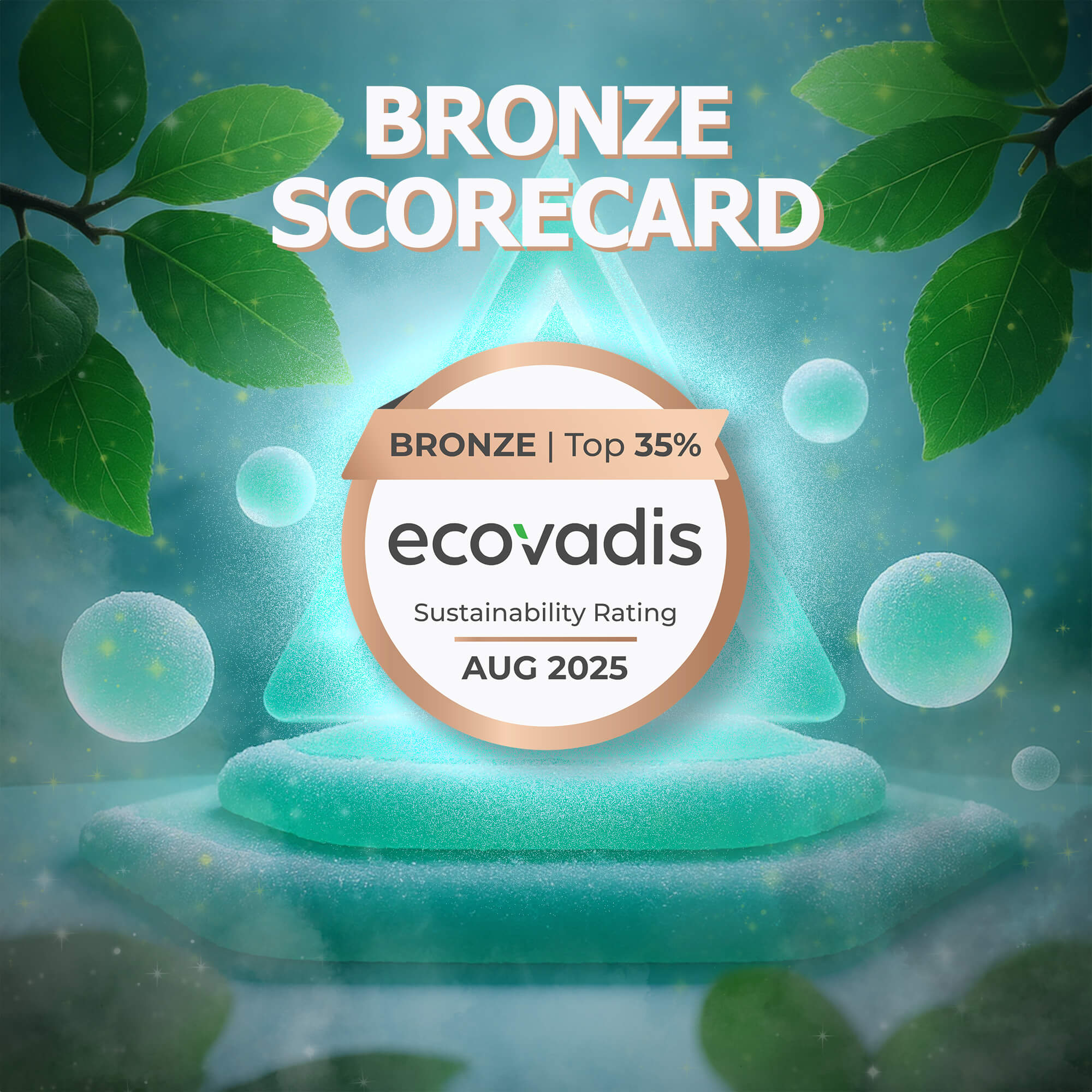 We proudly achieved a Bronze Scorecard in the 2025 EcoVadis Sustainability!